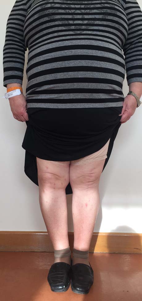 Γεώργιος Δ. Γκουδέλης