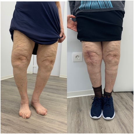 Γεώργιος Δ. Γκουδέλης