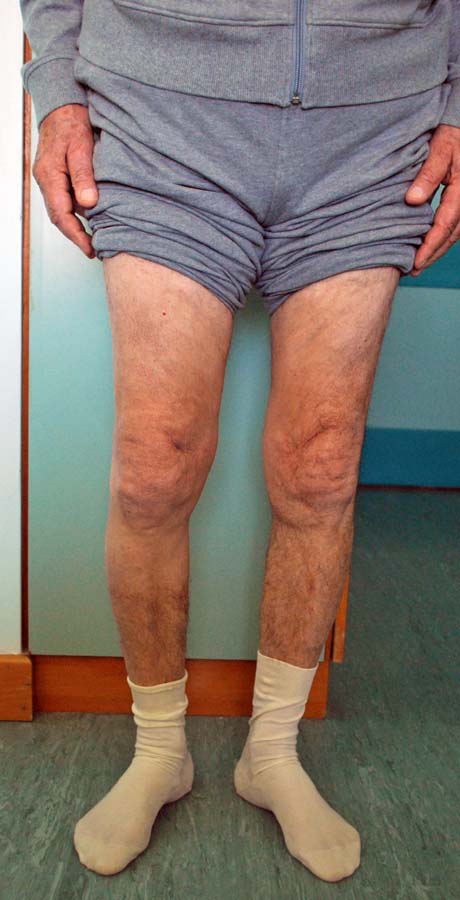 Γεώργιος Δ. Γκουδέλης