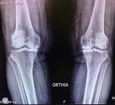 Γεώργιος Δ. Γκουδέλης