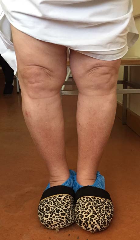 Γεώργιος Δ. Γκουδέλης