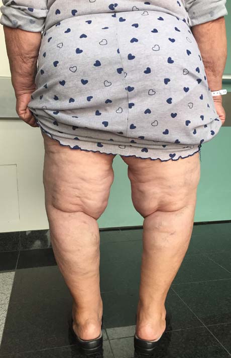 Γεώργιος Δ. Γκουδέλης