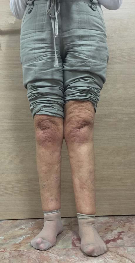 Γεώργιος Δ. Γκουδέλης