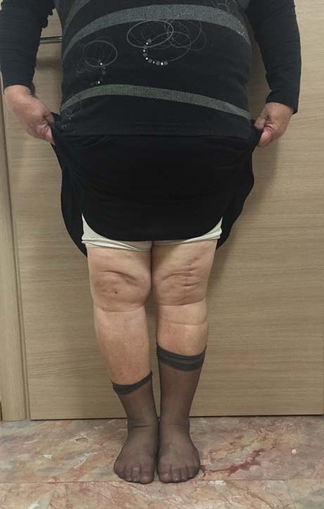 Γεώργιος Δ. Γκουδέλης