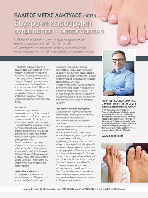 Γεώργιος Δ. Γκουδέλης