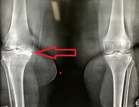 Γεώργιος Δ. Γκουδέλης