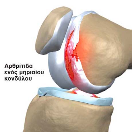 Γεώργιος Δ. Γκουδέλης