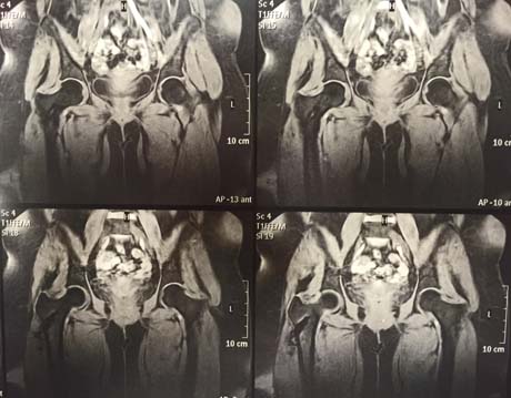 Γεώργιος Δ. Γκουδέλης