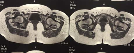 Γεώργιος Δ. Γκουδέλης