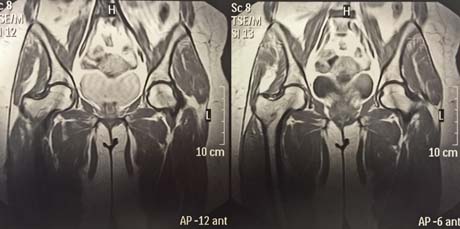 Γεώργιος Δ. Γκουδέλης
