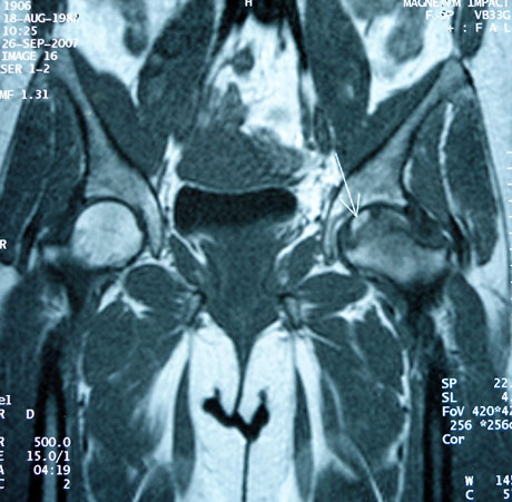 Γεώργιος Δ. Γκουδέλης