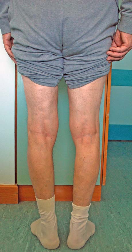 Γεώργιος Δ. Γκουδέλης