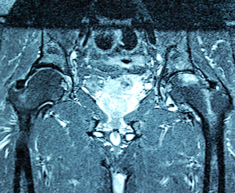 Γεώργιος Δ. Γκουδέλης