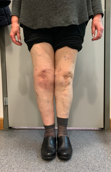 Γεώργιος Δ. Γκουδέλης