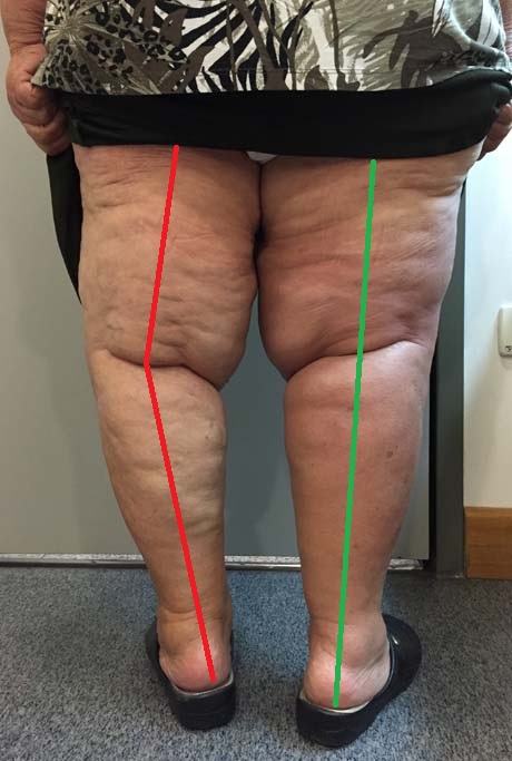 Γεώργιος Δ. Γκουδέλης