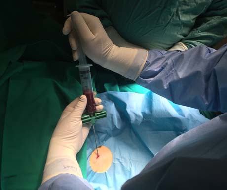 Γεώργιος Δ. Γκουδέλης