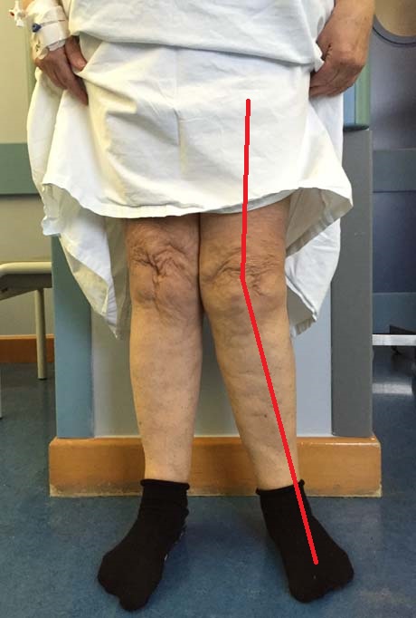 Γεώργιος Δ. Γκουδέλης