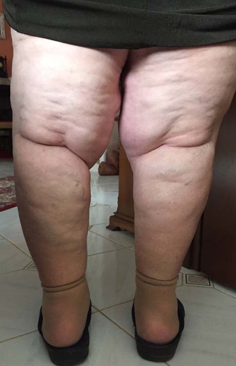 Γεώργιος Δ. Γκουδέλης