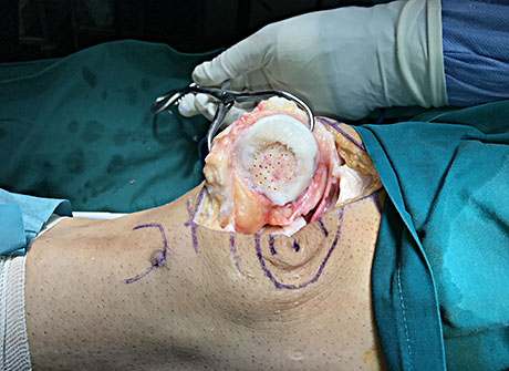 Γεώργιος Δ. Γκουδέλης