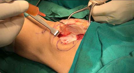 Γεώργιος Δ. Γκουδέλης