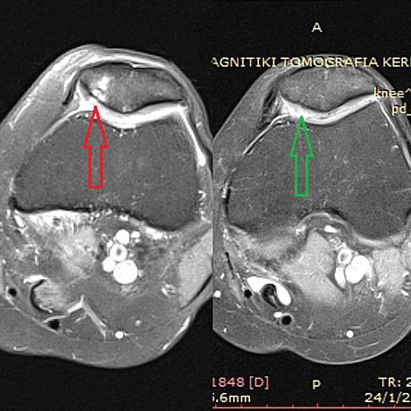 Γεώργιος Δ. Γκουδέλης