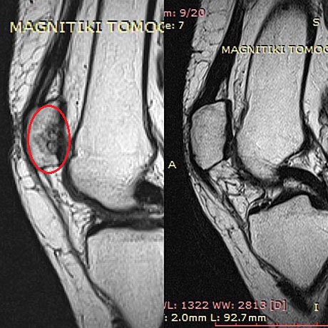 Γεώργιος Δ. Γκουδέλης