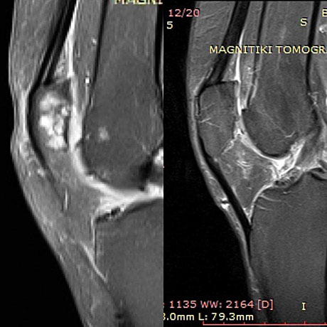 Γεώργιος Δ. Γκουδέλης