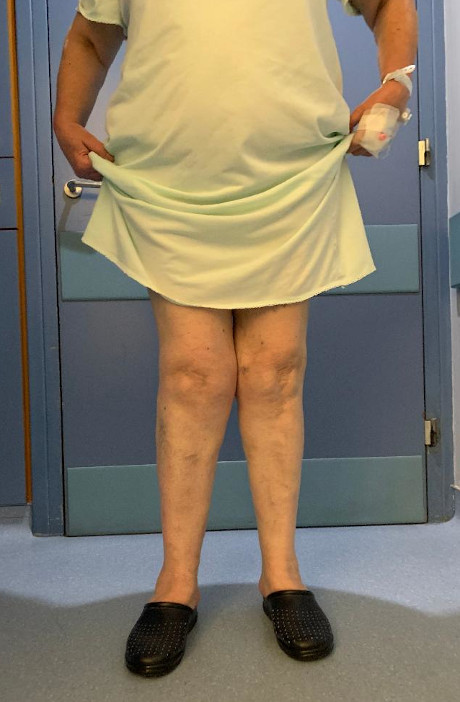 Γεώργιος Δ. Γκουδέλης