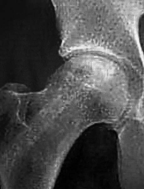 Γεώργιος Δ. Γκουδέλης